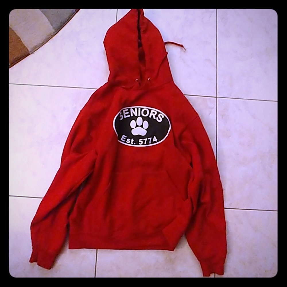 Frisch Seniors Hoodie